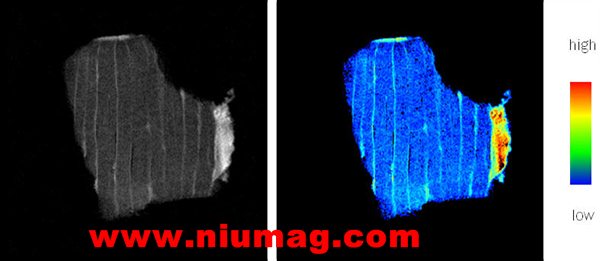 （NMI20-25） 核磁共振食品分析與成像系統